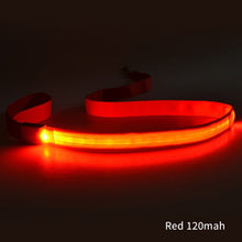 Load image into Gallery viewer, LED Dog Leash Luminous Rope Lead Leash For Dog Safety Flashing Glowing Dog Collar Harness Electronic Pet Accessories