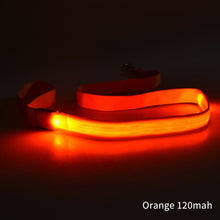 Load image into Gallery viewer, LED Dog Leash Luminous Rope Lead Leash For Dog Safety Flashing Glowing Dog Collar Harness Electronic Pet Accessories
