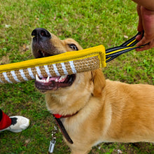 Load image into Gallery viewer, Pet Jute Chew Sticks Dog Bite Stick Pillow Puppy Toy with Rope Handles Dog Training Interactive Play Chewing Toys