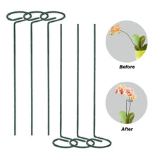Load image into Gallery viewer, Metal Plant Support Stakes Garden Flower Support Single Stem Plant Support Stake Ring Artificia Climbing Trellis Garden Decorion