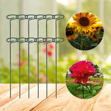 Load image into Gallery viewer, Metal Plant Support Stakes Garden Flower Support Single Stem Plant Support Stake Ring Artificia Climbing Trellis Garden Decorion