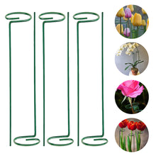Load image into Gallery viewer, Metal Plant Support Stakes Garden Flower Support Single Stem Plant Support Stake Ring Artificia Climbing Trellis Garden Decorion