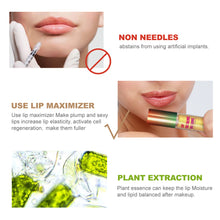 Load image into Gallery viewer, Ginger Mint Lip Enriching Oil Plant Lip Care Essence Liquid Enhances Plump Lip Lip Oil Makeup Cosmetics