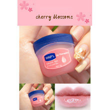 Load image into Gallery viewer, New 4/6/8pcs Moisturizing Lip Balm Sets Lipstick Makeup Natural Plant Base Moisturizer Lip Balm Anti-Cracking Lips Skin Care