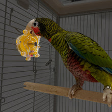 Load image into Gallery viewer, Bird Parrot Interactive Toy Bird Turntable Hang Toys Sounding Ball Toys Stand Playing Cage Accessories Pet Supplies