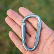 Load image into Gallery viewer, 5PCS Multi-Functional Aluminum Alloy Flat D-Type Mountaineering Buckle With Lock Hook EDC Outdoor Camping Hiking Backpack Quick Hanging Buckle