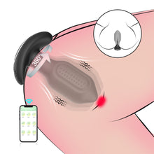 Load image into Gallery viewer, Charging Remote Control APP Scratch Free Twisting Vibration Remote Control Silicone Anal Plug Sexy Female and Male Sex Toys