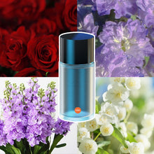 Load image into Gallery viewer, 10ml Car Air Outlet Perfume Refill Liquid Flavors Essential Oil with Dropper Car Freshener Refill for Home Aroma Diffuser Air Humidifier Auto Fragrance