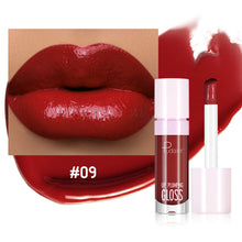 Load image into Gallery viewer, 14 Colors Ginger Lip Plumping Gloss Moisturizing Hydrating Non-sticky Lip Glaze Repairing Lip Care Makeup Cosmetics