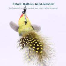 Load image into Gallery viewer, Funny Feather Cat Plush Teaser Wand with Bell Pet Interactive Feather Toys Cat Stick Toy for Kitten Catching Toy Playing Teaser Cat Supplies
