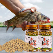 Load image into Gallery viewer, 1 Bottle Lamb Oil Pellet Bait Crucian Carp Grass Carp Freshwater Fishes Fodder For Wild Fishing Black Pit
