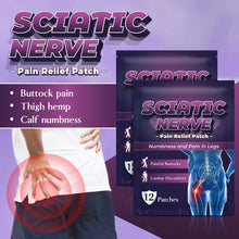 Load image into Gallery viewer, 12pcs/bag Sciatic Nerve Acupoint Patch Relieving Hip Pain Lumbar Discomfort Leg Numbness Mild Non-irritating Pain Relief Patch Health Care