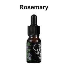 Load image into Gallery viewer, 10ML Car Air Freshener Plant Aromatherapy Oil for Diffuser Humidifier Household/Vehicles Fragrance/Essential Oil Car Interier Accessories