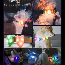 Load image into Gallery viewer, Pet Night Walking Warning Light Pendant Dog Puppy Led Silicone Glowing Collar Safety Flashing Pendant Outdoor Hiking Backpack Bag Lights