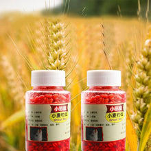 Load image into Gallery viewer, 1 Bottle Lure Wild And Black Pit Wheat Pellet Bait Fishy-Aroma Attractant For Crucian Carp Grass Carp