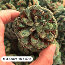 Load image into Gallery viewer, Magic Fire Colored Flame Powder Magic Fire Party Beach Bonfire Party Supplies Natural Pine Cones