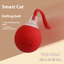 Load image into Gallery viewer, Cat Interactive Ball Toys Automatic Rolling Ball Faux Tail Rechargeable Smart Pet Electric Toy Dog Cat Training Imitate Mouse