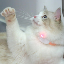 Load image into Gallery viewer, Smart Laser Tease Cat Collar Electric USB Rechargeable Pointer Kitten Automatic Toys Interactive Training Pet Accessories Goods