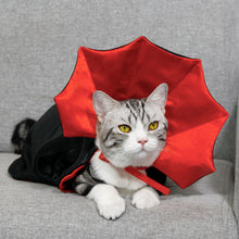 Load image into Gallery viewer, Halloween Pet Costumes Cute Cosplay Vampire Cloak Cat Dog Cap With Horns Kitten Puppy Cape Pet Dress Up Clothes Dog Accessories