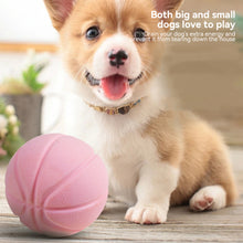 Load image into Gallery viewer, Pet Toy Dog Feeding Toy Clean Teeth Toothbrush Teeth Grinding Ball Chew Toys Teeth Cleaning Stick Pet Products