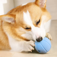 Load image into Gallery viewer, Pet Toy Dog Feeding Toy Clean Teeth Toothbrush Teeth Grinding Ball Chew Toys Teeth Cleaning Stick Pet Products