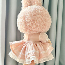 Load image into Gallery viewer, Fashionable Doll Clothes Exquisite Pink Dress Set Mini Cute Doll Replacement Clothes Dolls Decoration Accessories for 38cm Labubu Doll