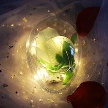 Load image into Gallery viewer, 17cm PVC Organizer Box For Labubu Dust-Proof Transparent Face Shield for Dolls Transparent Ball Christmas Decoration Festival Ceiling Pendant