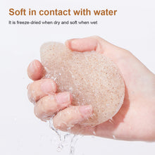 Load image into Gallery viewer, Walnut Seed Konjac Facial Puff Deep Cleanse Gentle Exfoliate Tool Makeup Remover Multifunctional Facial Cleaning Puff