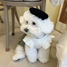 Load image into Gallery viewer, Luxury Dog Dress for Small Dogs Summer Puppy Clothes Bow Lace Dog Skirt Black White Dog T Shirt Girls Dog Costume Chihuahua Vest
