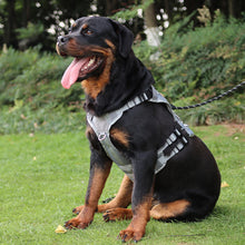 Load image into Gallery viewer, 10-45kg Pet Dog Harness for Outdoor Use Set Dog Vest Strap Adjustable Breathable Harness for Dogs Puppy and Cats