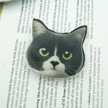 Load image into Gallery viewer, INS Cute 3D Funny Cat Phone Stand Grip tok Support For iPhone 11 13 Samsung Grip Tok Folding Finger Stand Socket Bracket