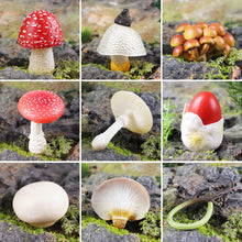 Load image into Gallery viewer, Pretend Play Toy Cute Fruits Vegetables Mushroom Model Cake Toppers Foods Family Fun Early Education For Kids Gift