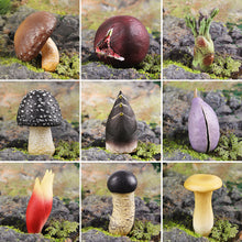 Load image into Gallery viewer, Pretend Play Toy Cute Fruits Vegetables Mushroom Model Cake Toppers Foods Family Fun Early Education For Kids Gift