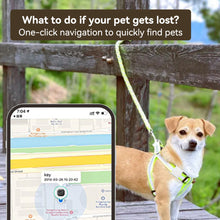 Load image into Gallery viewer, Bluetooth Smart Pet Locator Waterproof Anti-Lost Location Tracker Collar For Cats Dogs Positioning Tracker Locating Waterproof