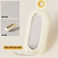 Load image into Gallery viewer, Pet Removes Hairs Cat Dogs Cleaning Brush Fur Removing Animals Hair Brush Electrostatic Adsorption Hair Removal Pet Supplies