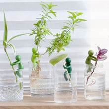 Load image into Gallery viewer, 1Pc Plant Propagation Friends Little Man Plant Stand Reusable Hydroponic Plant Holder Soft Support for Stems Shoot Cutting