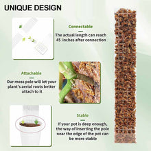 Load image into Gallery viewer, Moss Pole Plastic Plant Stand Indoor Climbing Plants Guardian Tutors Pot Moss Stick For Plants Growth Garden Support Accessories
