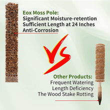Load image into Gallery viewer, Moss Pole Plastic Plant Stand Indoor Climbing Plants Guardian Tutors Pot Moss Stick For Plants Growth Garden Support Accessories