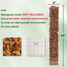 Load image into Gallery viewer, Moss Pole Plastic Plant Stand Indoor Climbing Plants Guardian Tutors Pot Moss Stick For Plants Growth Garden Support Accessories