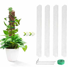 Load image into Gallery viewer, Moss Pole Plastic Plant Stand Indoor Climbing Plants Guardian Tutors Pot Moss Stick For Plants Growth Garden Support Accessories