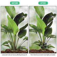 Load image into Gallery viewer, 4PCS Reusable Plant Stem Folding Frame Garden Tools No Stake Trellis Plant Stem Support Support Branches Stem Organizer
