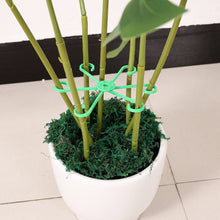 Load image into Gallery viewer, Cross-Border Plant Gathering Rack Long Short Colorful Matching Anti-Rust Inverted Assembly Support Rack