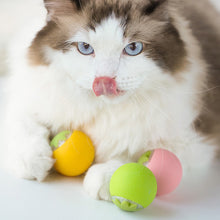 Load image into Gallery viewer, Orange Shape Cat Interactive Ball Toys Automatic Rolling Ball Electric Cat Toys Rechargeable Self-moving Kitten Toys