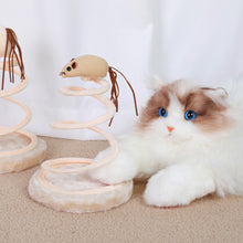 Load image into Gallery viewer, New Cat Toys Cat Supplies Spiral Steel Wire Spring Linen Disc Cat Scratch Board Hemp Mouse