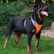 Load image into Gallery viewer, Large Dog Harness Reflective Adjustable Dog Collar Dog Leash Small and Medium Dog Accessories