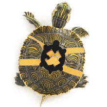 Load image into Gallery viewer, Tortoise Leash Wear-resistant Adjustable Size Safety Traction Rope Harness Strap for Tortoise Turtle Pet Turtle Supplies