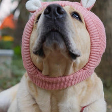 Load image into Gallery viewer, Pet Knit Cap Dog Winter Hat Funny Warm Pet Beanie Clothing Large dog Labrador Golden Retriever Cap Winter Pet Accessory