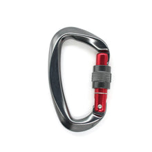 Load image into Gallery viewer, 25kN Professional Rock Climbing D-Shape Carabiner Buckle Safety Screw Lock Spring-Loaded Gate Aluminum Outdoor Mountaineering Kits