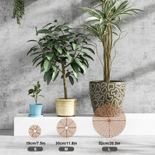 Load image into Gallery viewer, Hollow Out Soil Stabilization Anti Dumping Anti Children and Mice Flowerpot Soil Cover Anti Cat Protection Plant Root Protection Net Cover