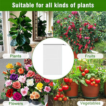 Load image into Gallery viewer, Insect Proof Mesh Bag Plant Insect Proof Bag Garden Fruit Melon Insect Proof Mesh Cover Horticultural Melon and Fruit Care Protection Net